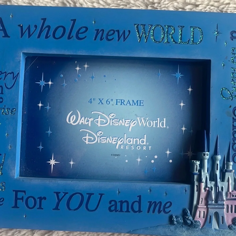 DisneyPark Frame